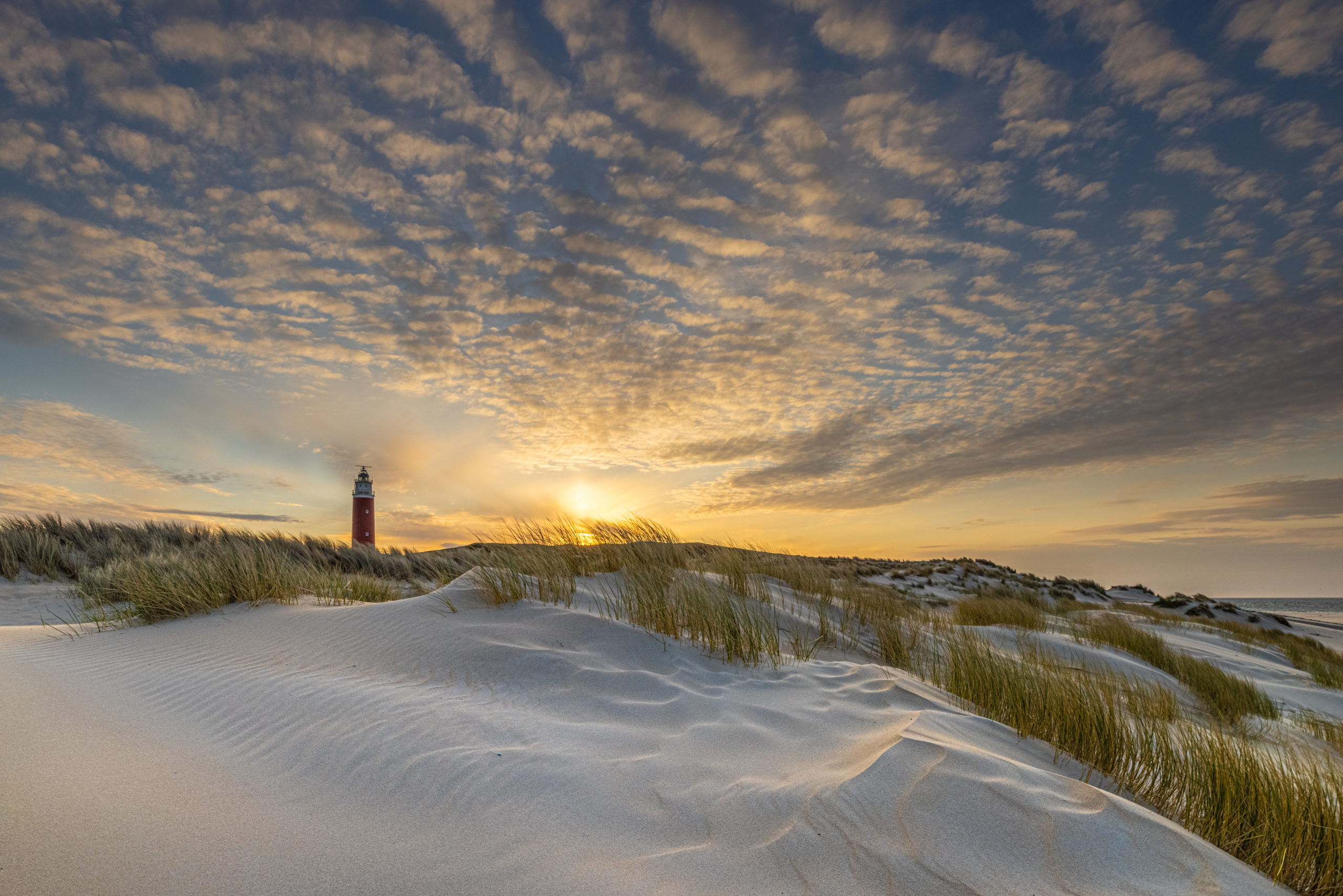 foto van de maand juni/juli