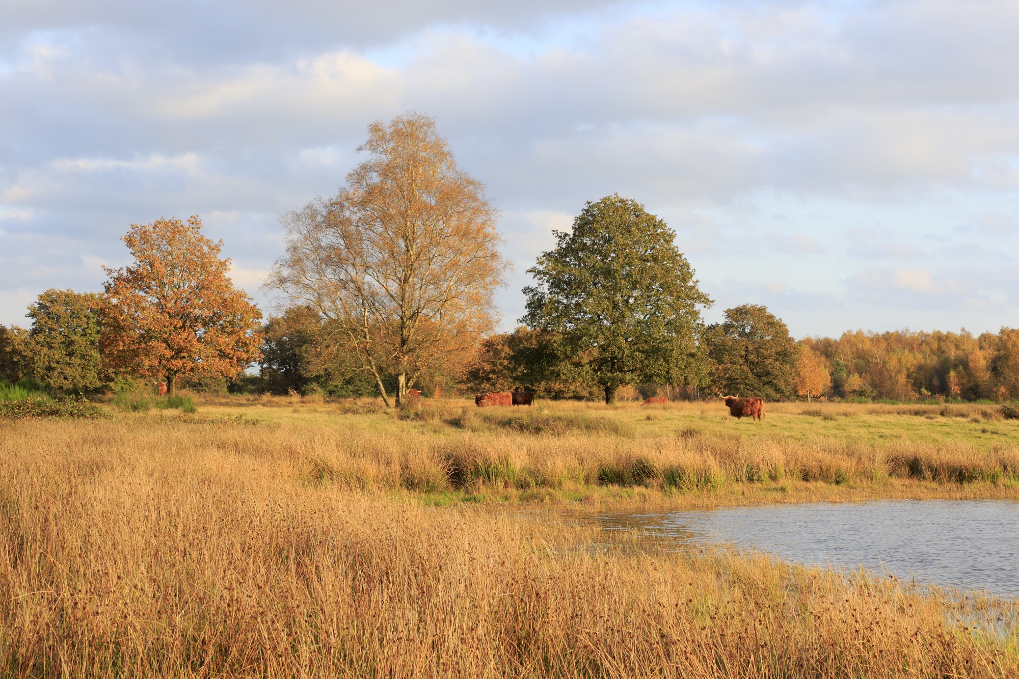 Ven op landgoed vossenberg