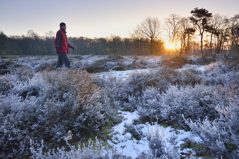 Winterwandeling Dal van de Mosbeek