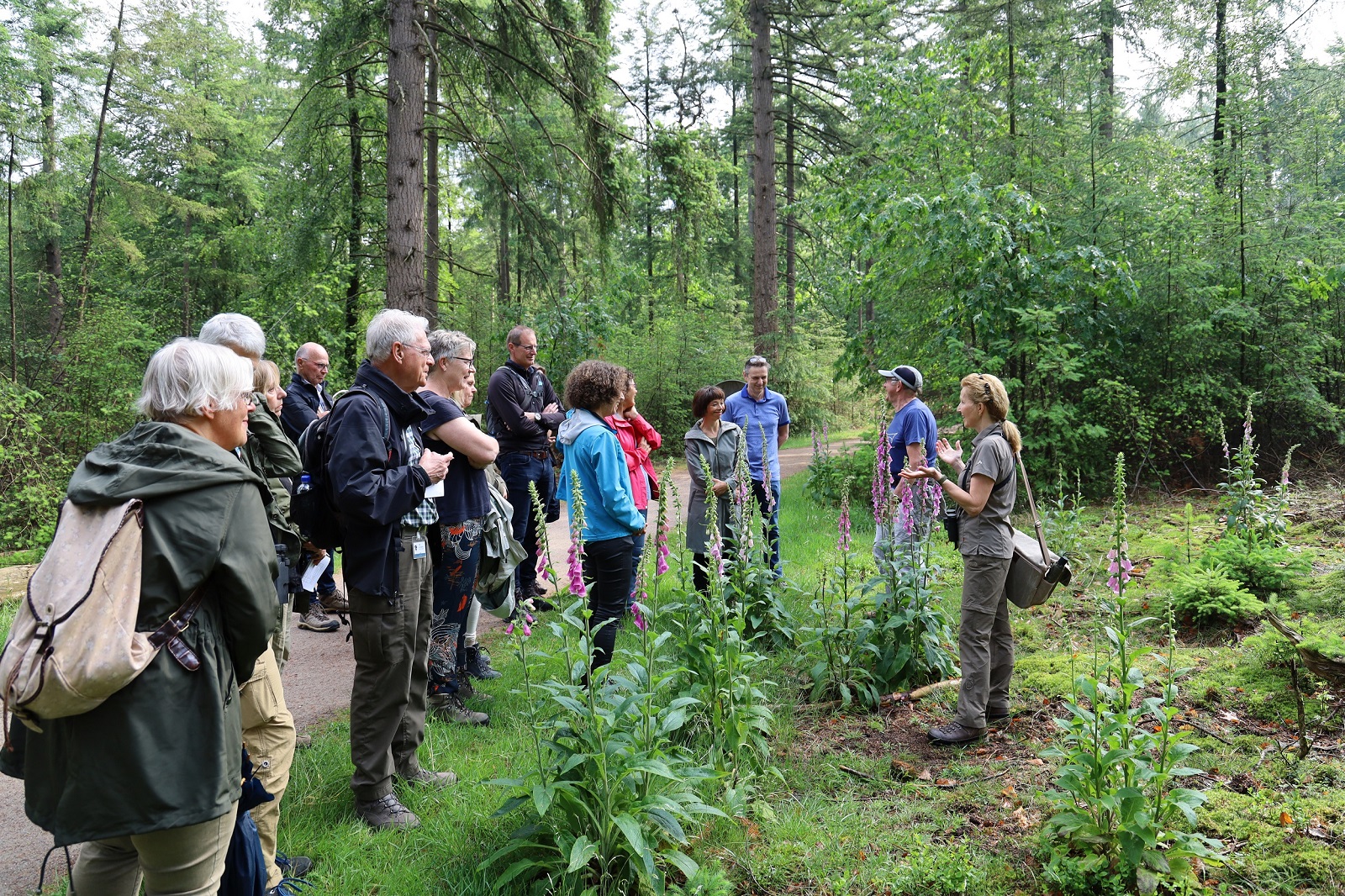 natuurgidsen