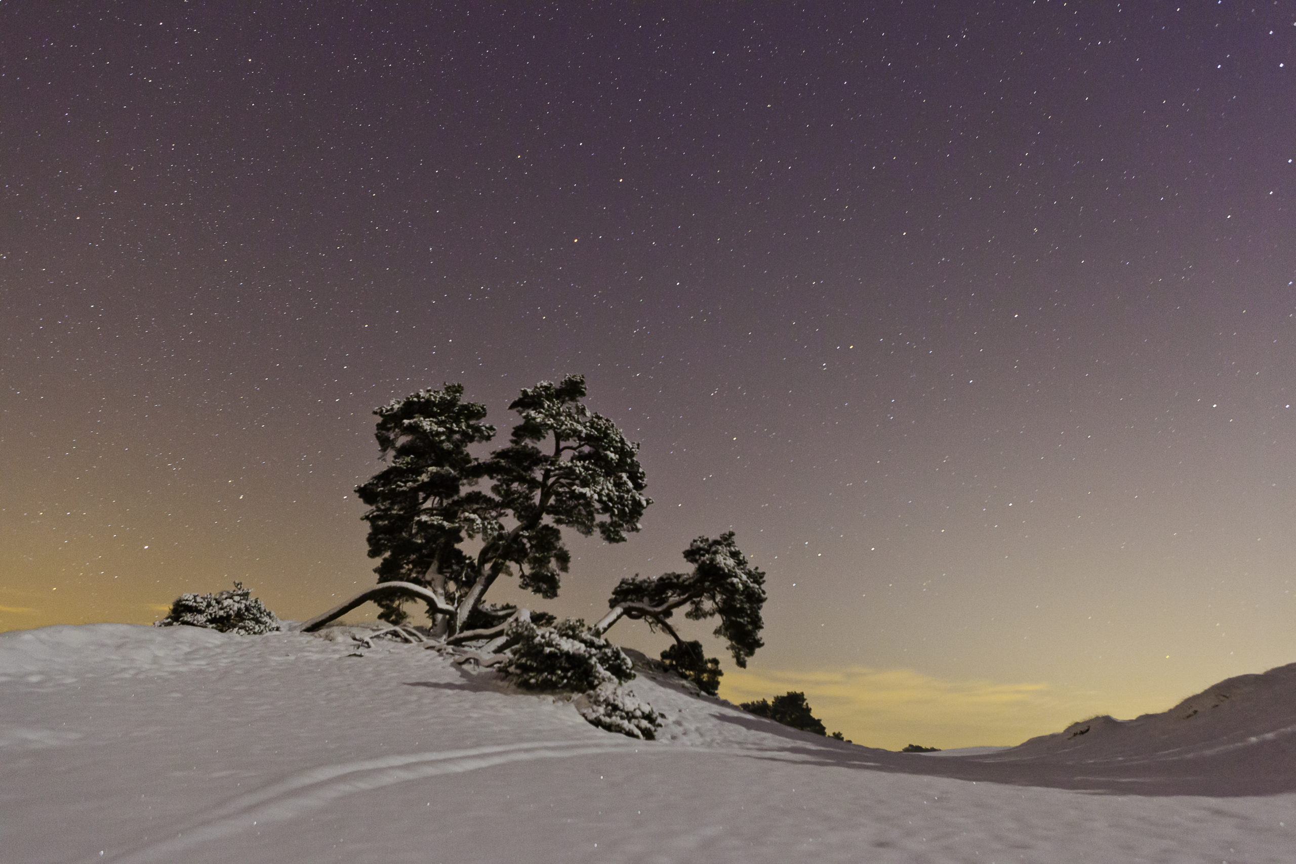 winterlandschappen