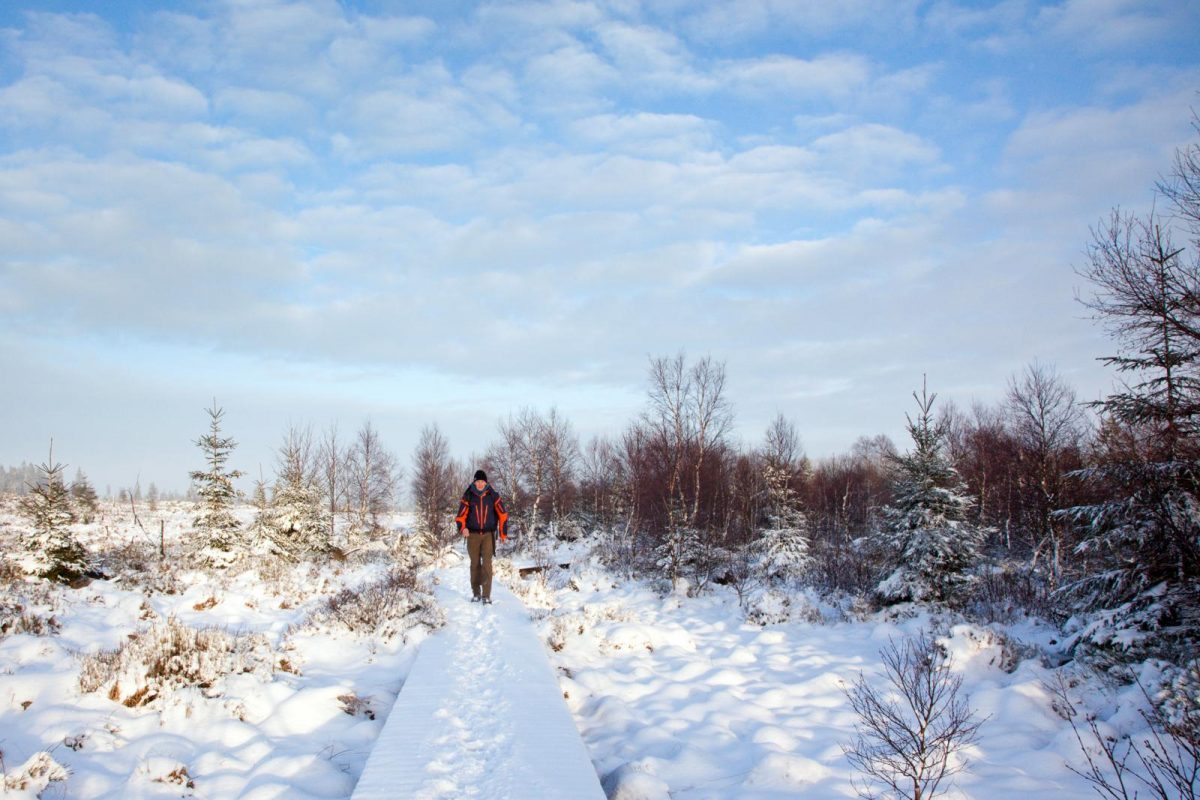 winterwandelingen