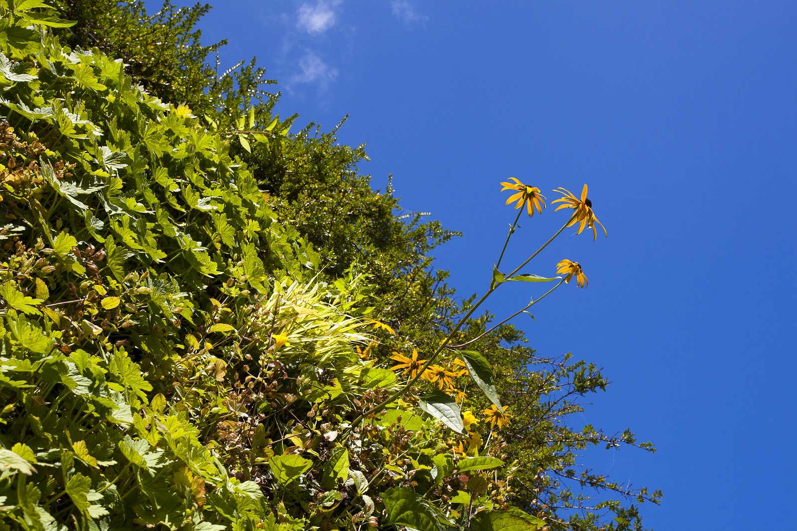 week van de groene tuin