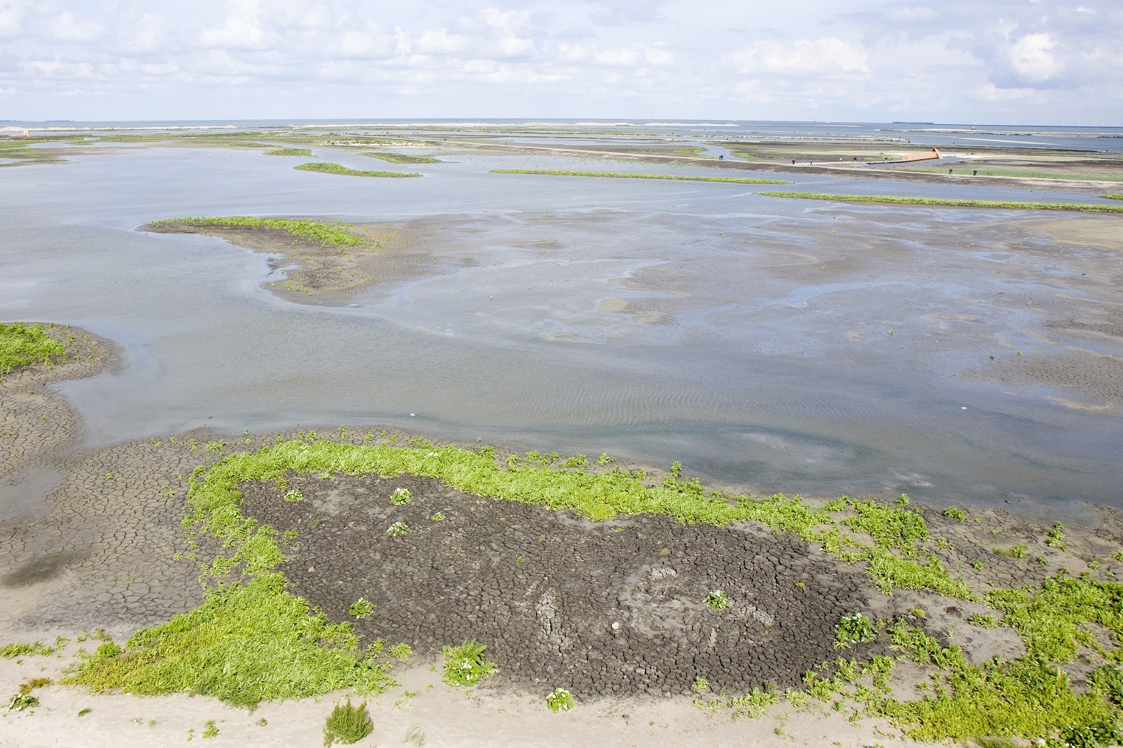 Marker Wadden