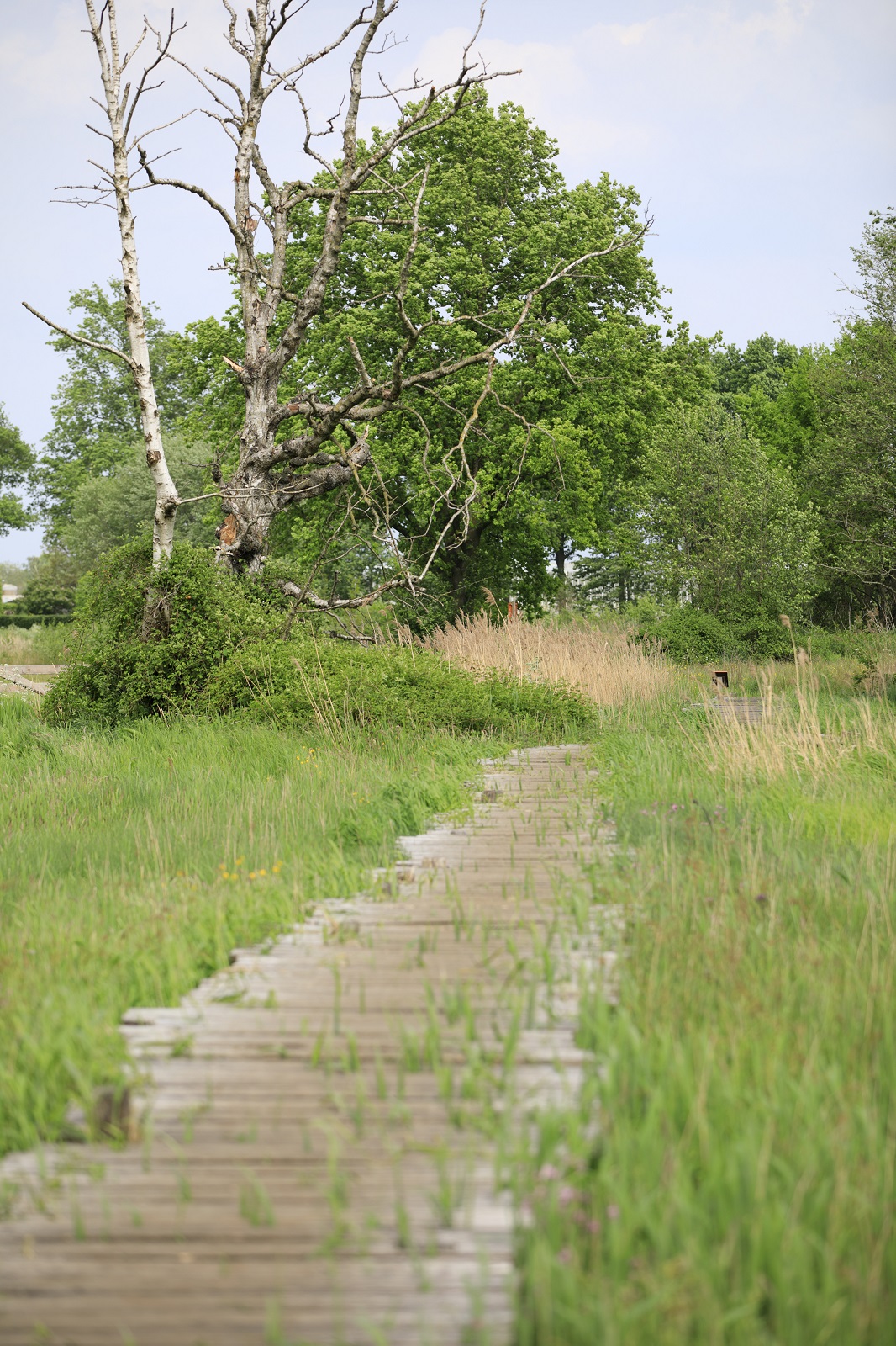 IVN Trektocht