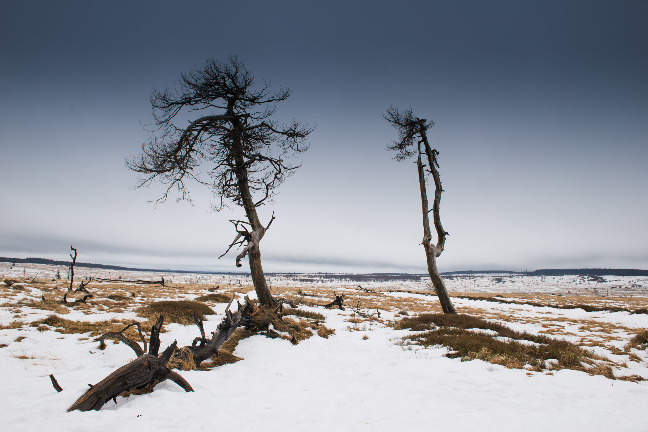 winterlandschappen