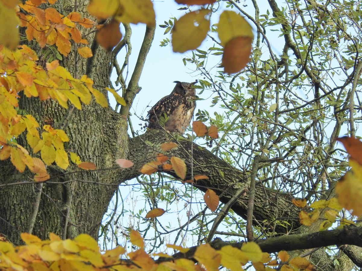 Beleef de lente 2021