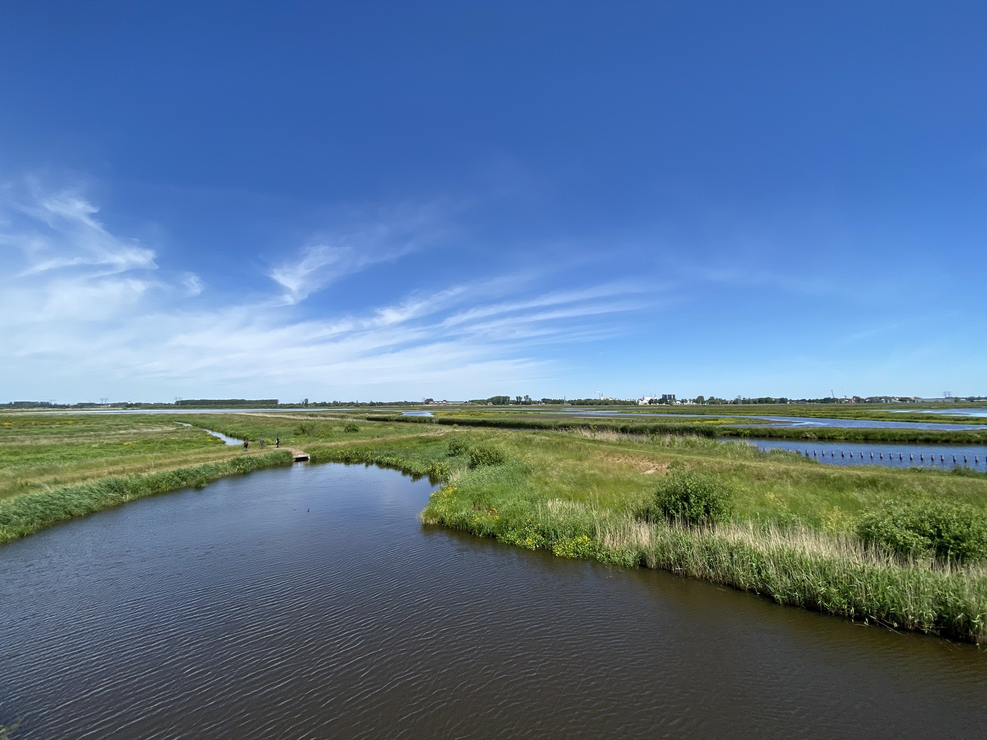 Roots vogelweekend naar Lauwersmeer