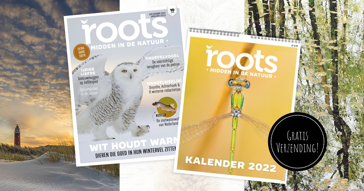 Roots jaarkalender