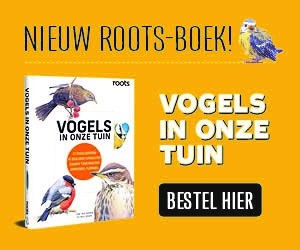 Boek Vogels in onze tuin