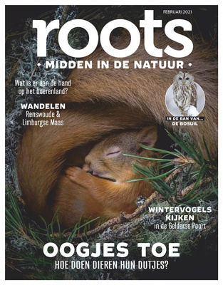 Roots februari 2021