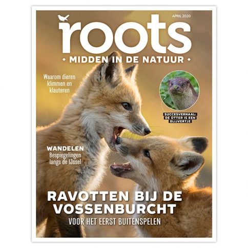 nieuwe roots