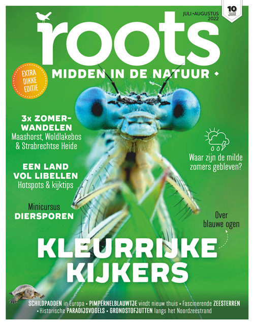 Roots editie 7/8 - 2022