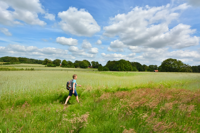 Wandelaar op Schabosche es in het Springendal