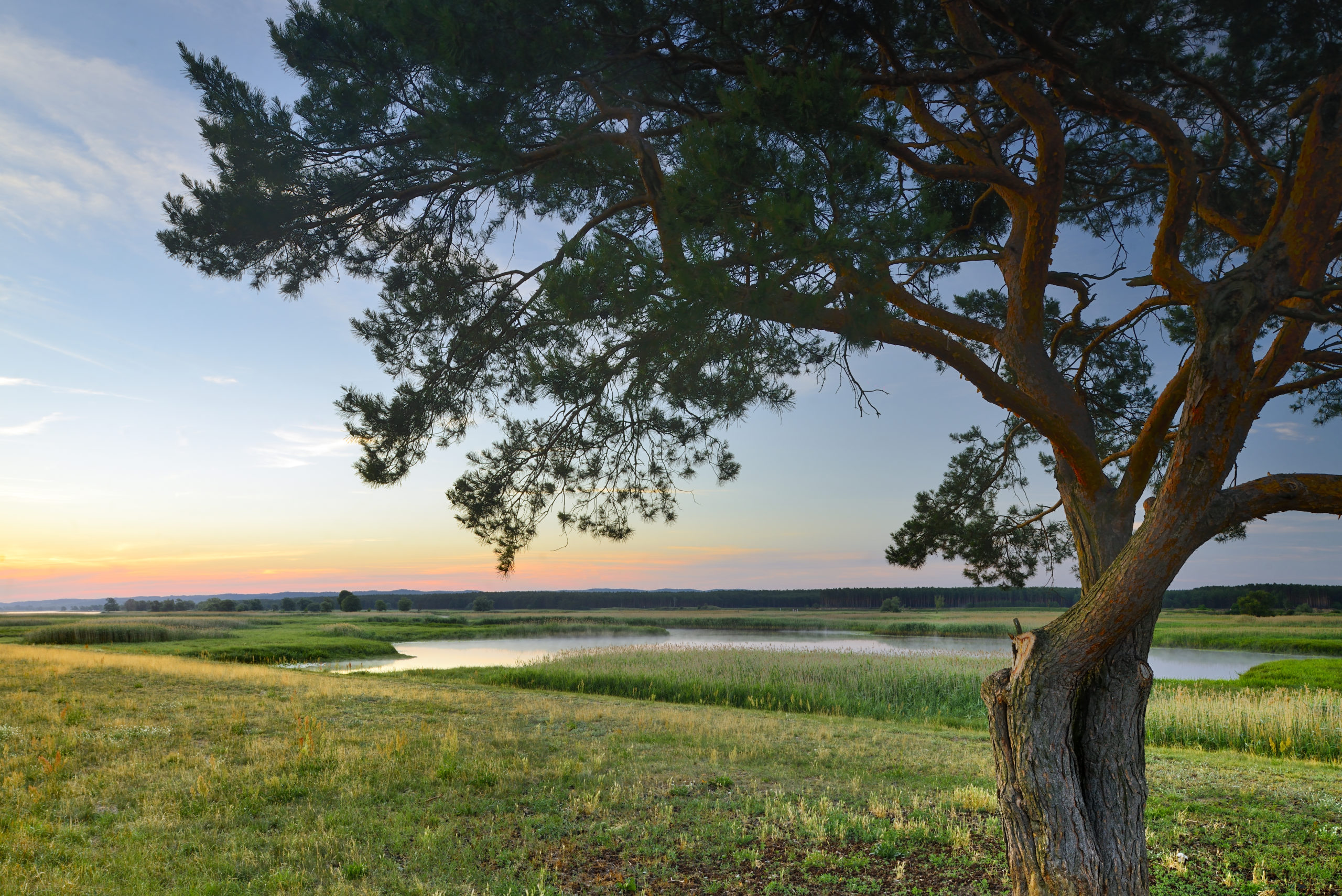 Nationaal Park Unteres Odertal