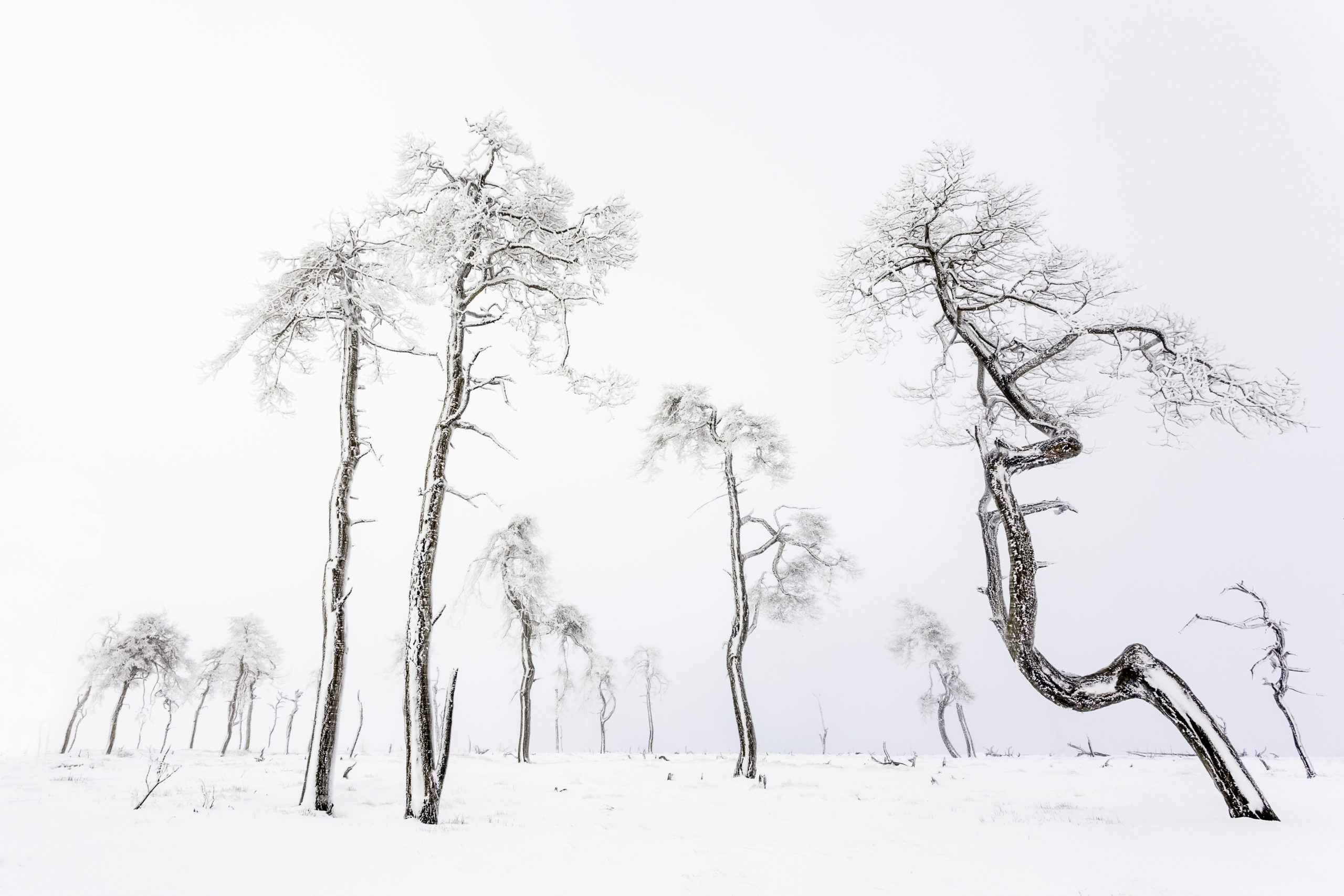 winterlandschappen