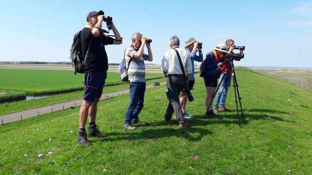 Vogelrijk Waddenvogelfestival