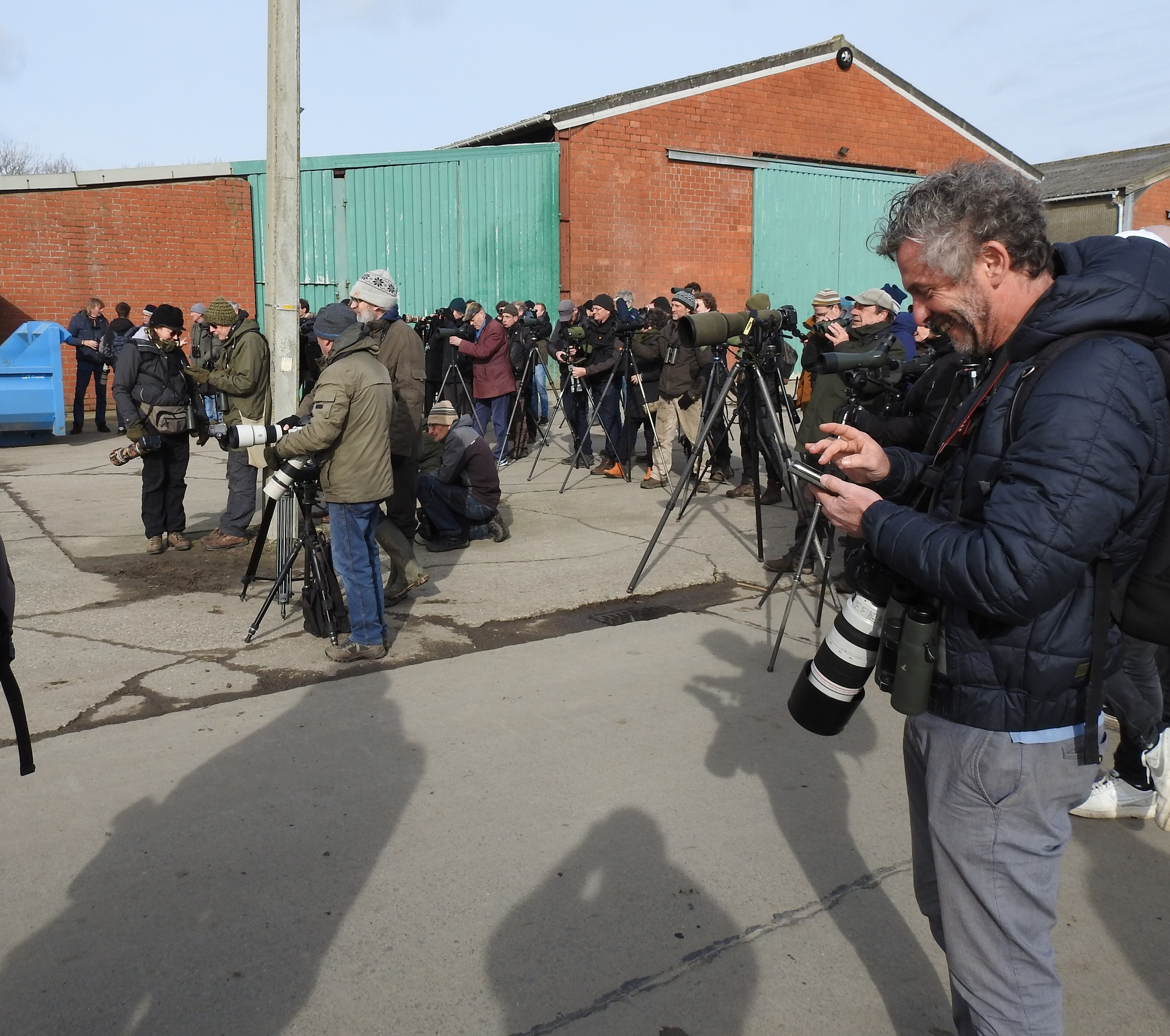 Verdwaalde zanggors op de grens