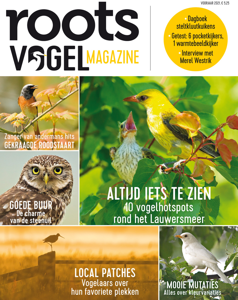 vogelmagazine voorjaar 2021