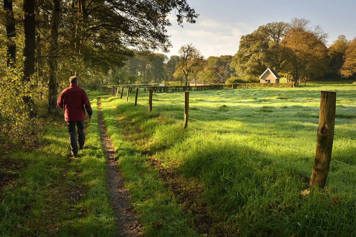 Onverhard wandelen op een graspad Lochem