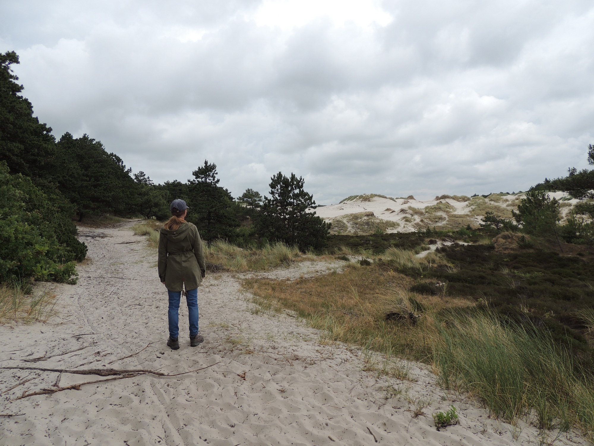 Schoorls wandelboekje