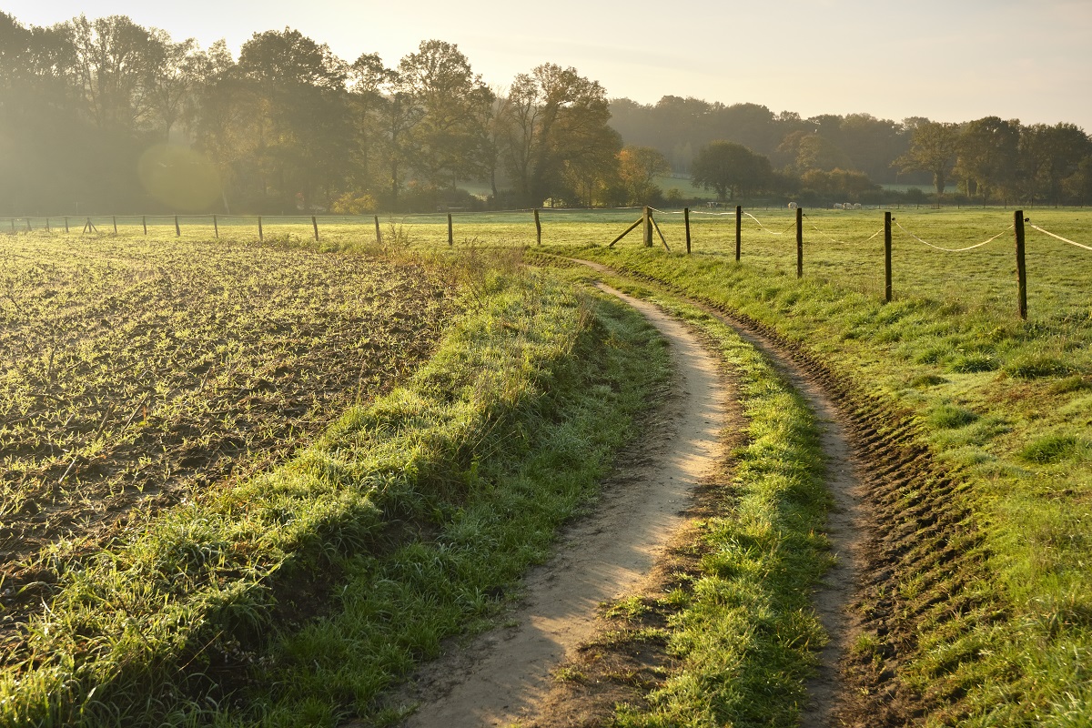 Onverhard wandelen