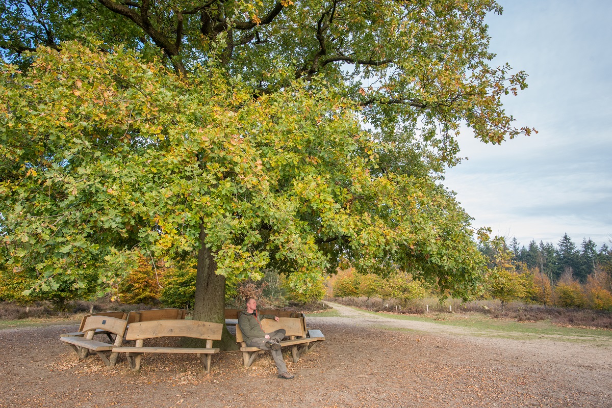 natuurbankje