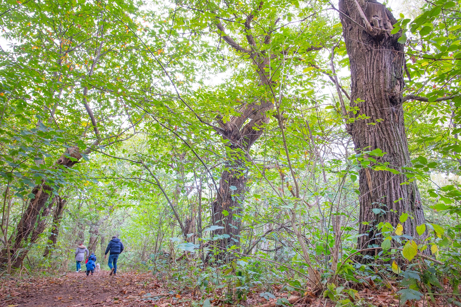 nationale wandelmonitor