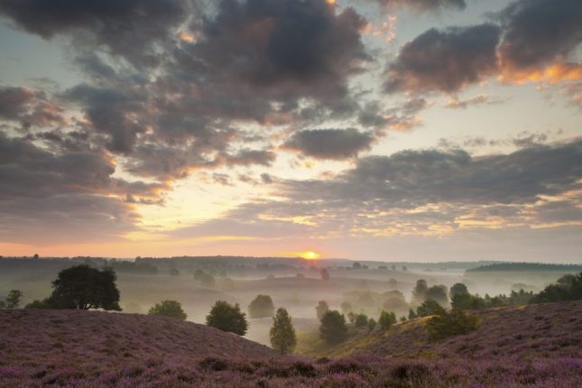 heide fotograferen