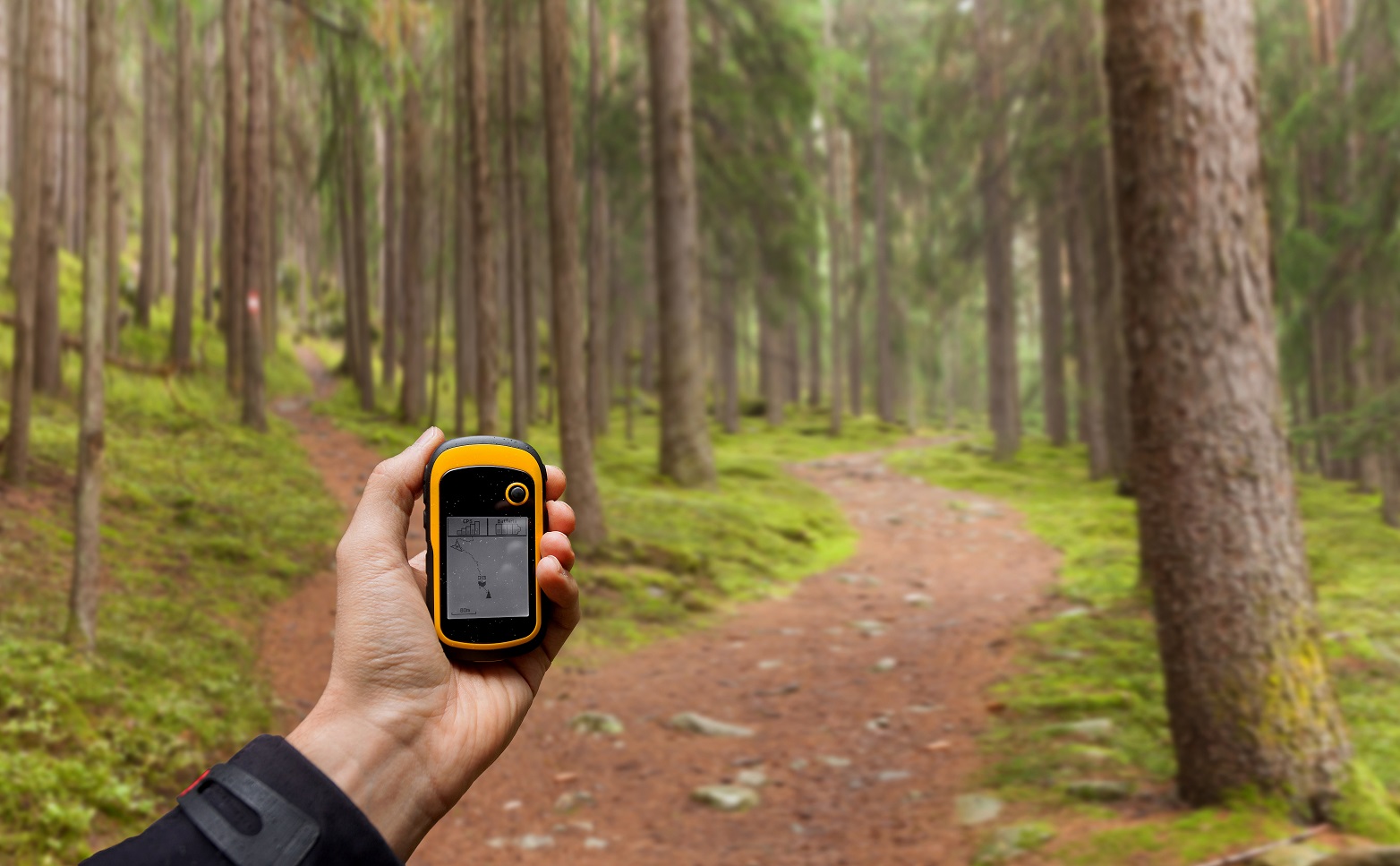 Stadium ga sightseeing Fauteuil Wandelen met een gps voor beginners - rootsmagazine.nl