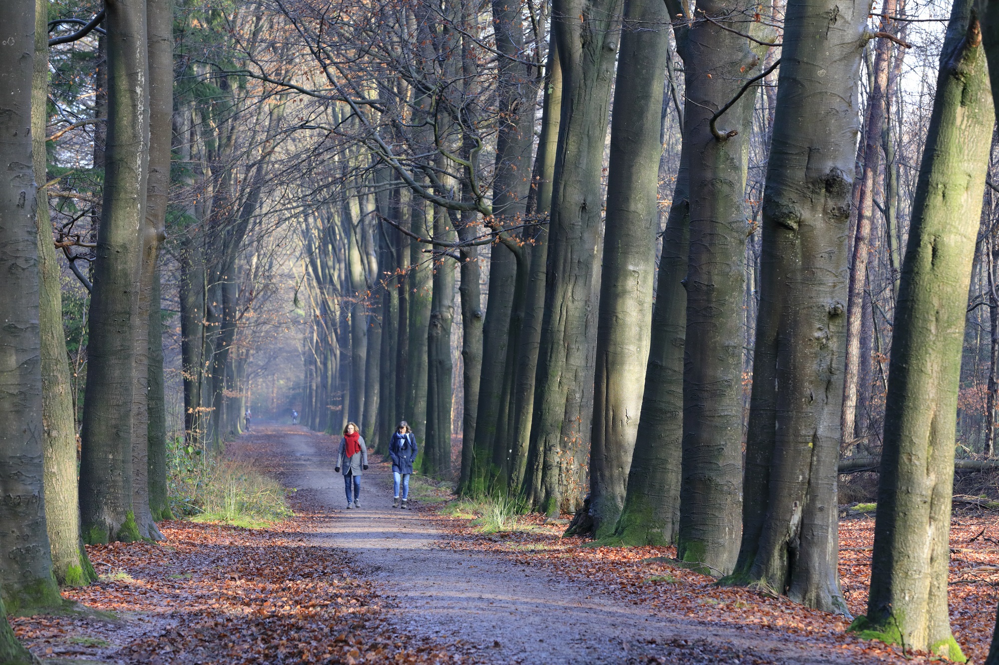 landgoed Slangenburg