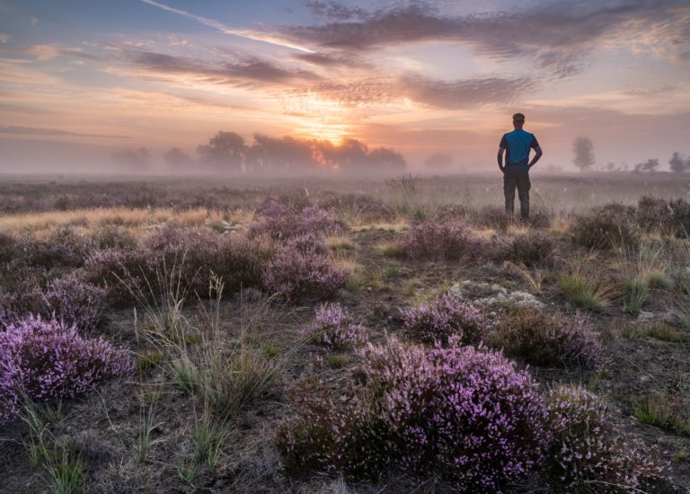 strabrechtse heide met wandelaar