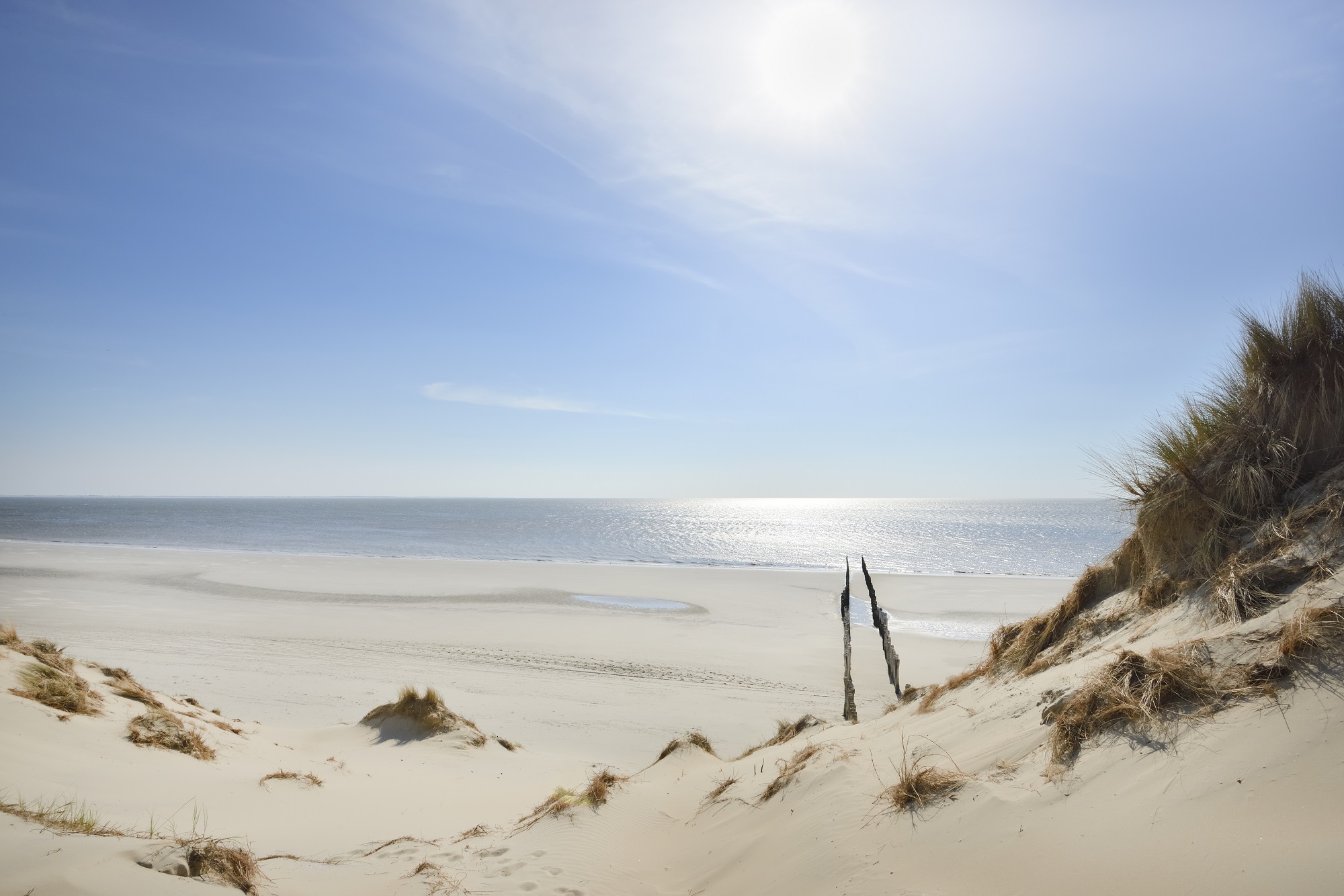 Strand bij Westenschouwen