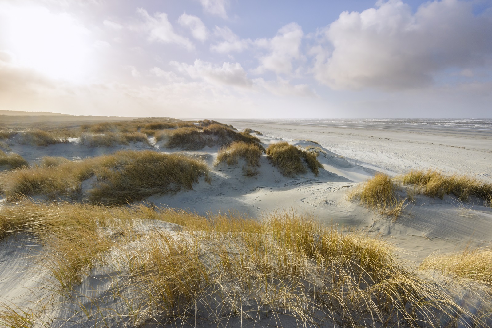 voorlopig geen stroomkabel door schiermonnikoog