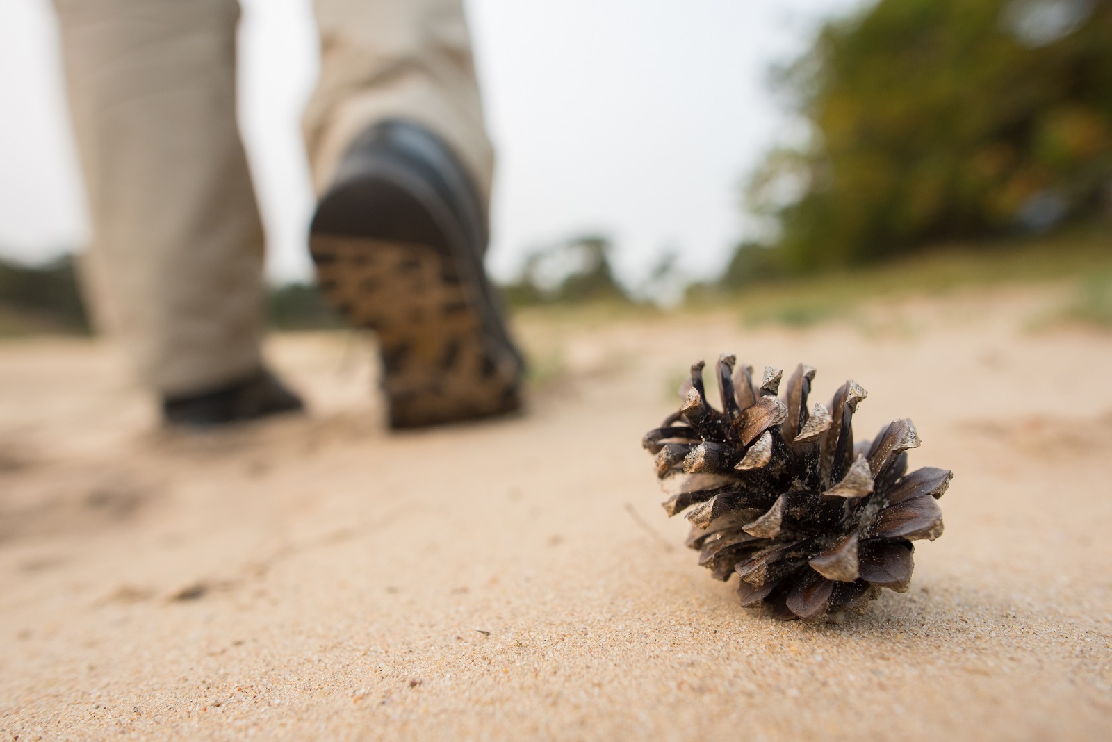 zere voeten wandelschoenen