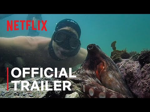 Trailer van de film My octopus teacher