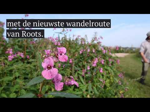 Wandelen langs de Merwede bij Woudrichem