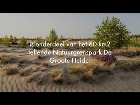 Wandelen over de Strabrechtse Heide