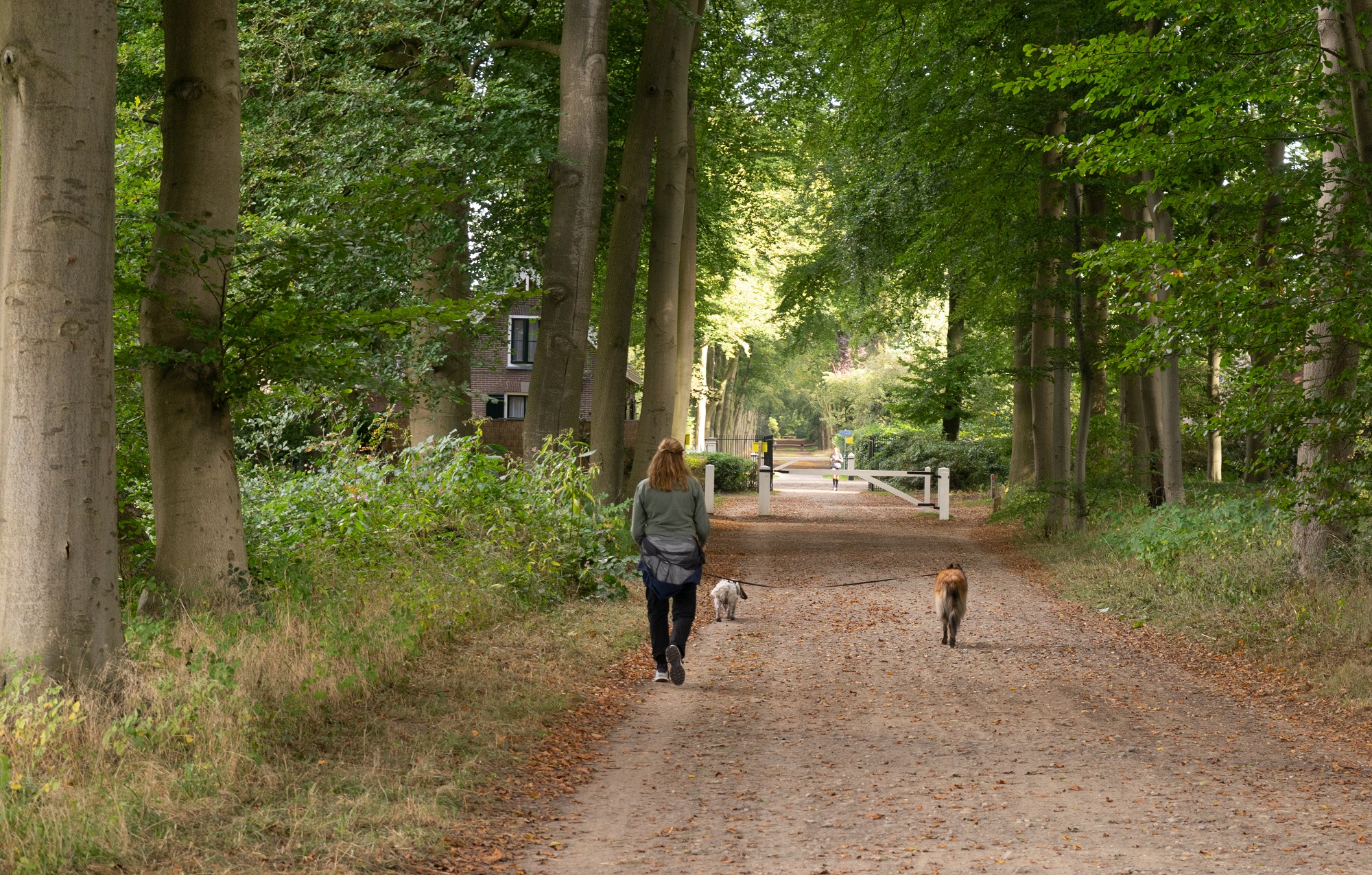 Landgoed Gooilust wandelaar