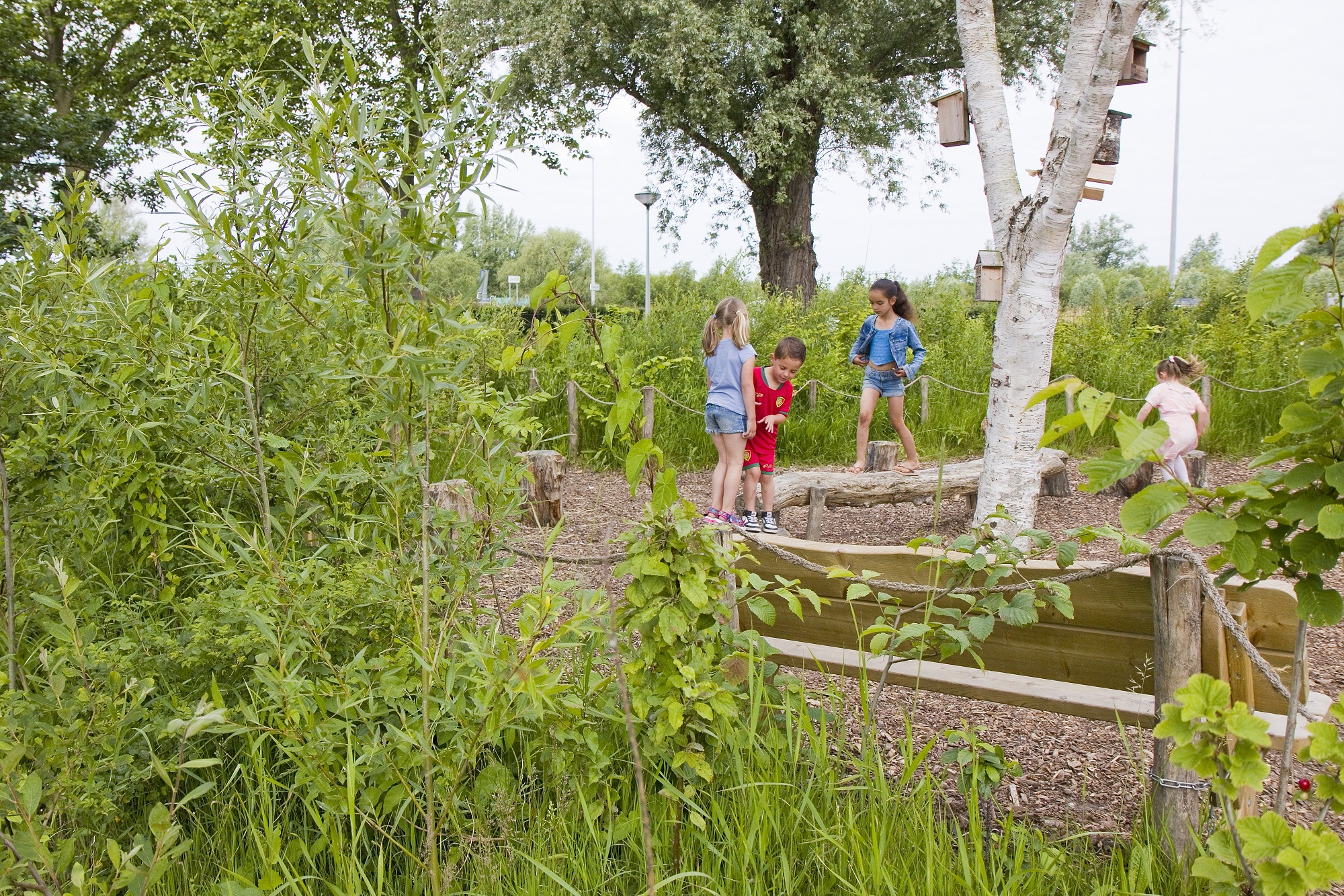 Spelende kinderen in het Roots-bos