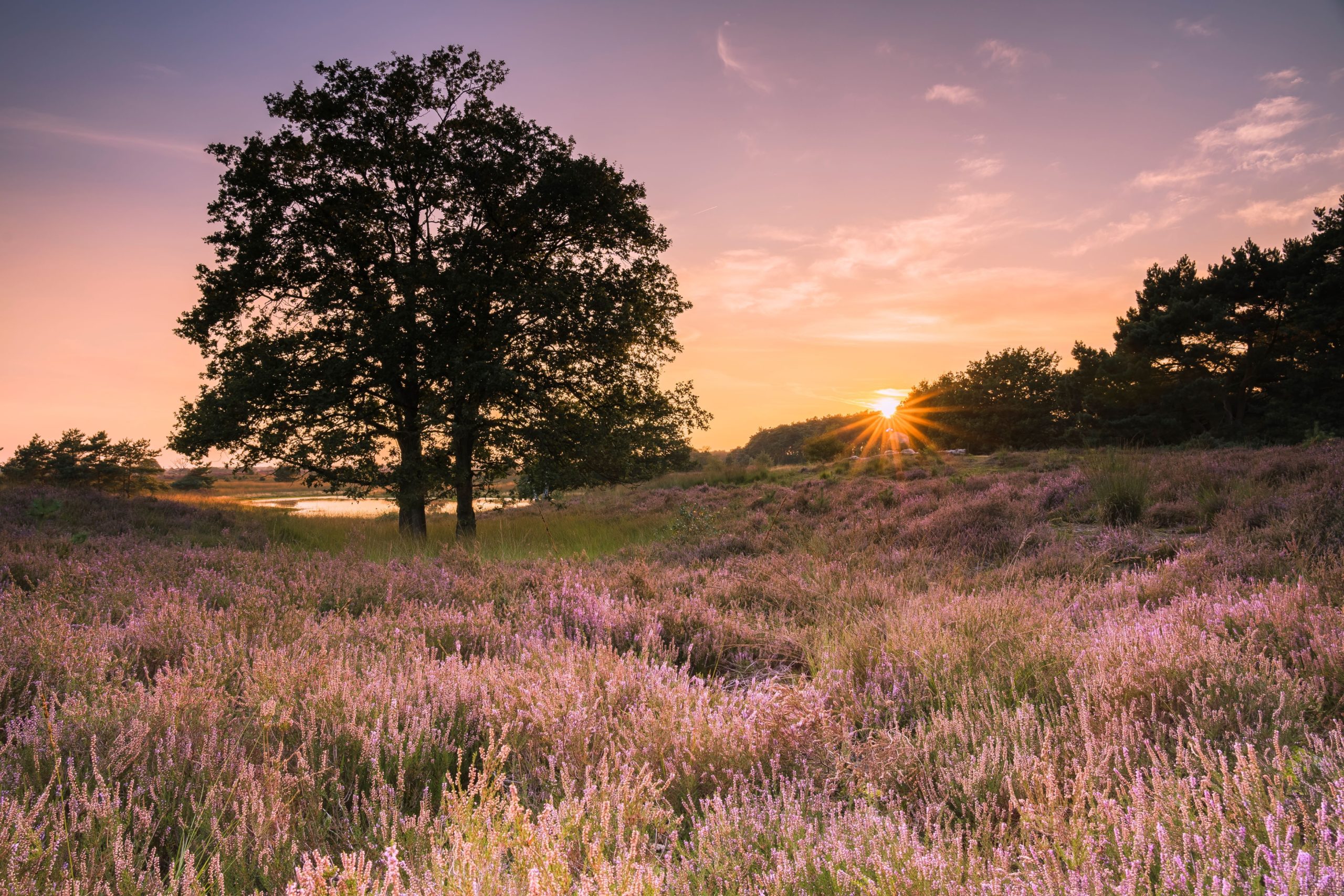 Natuurfotowedstrijd 2022