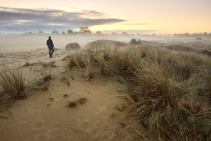 het nationale park 
drents-friese wold
