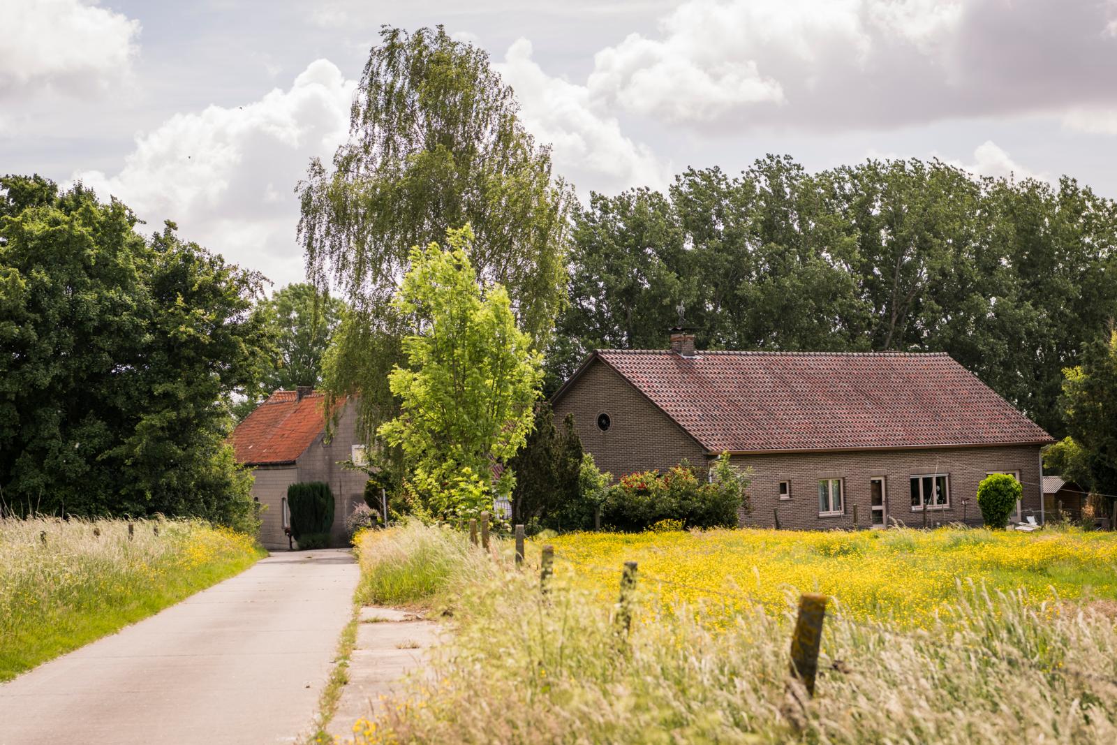 wandelen Vlaanderen