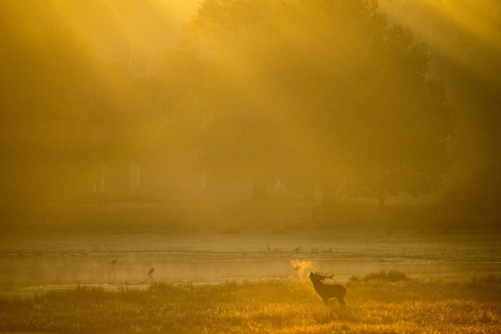 foto van de maand oktober