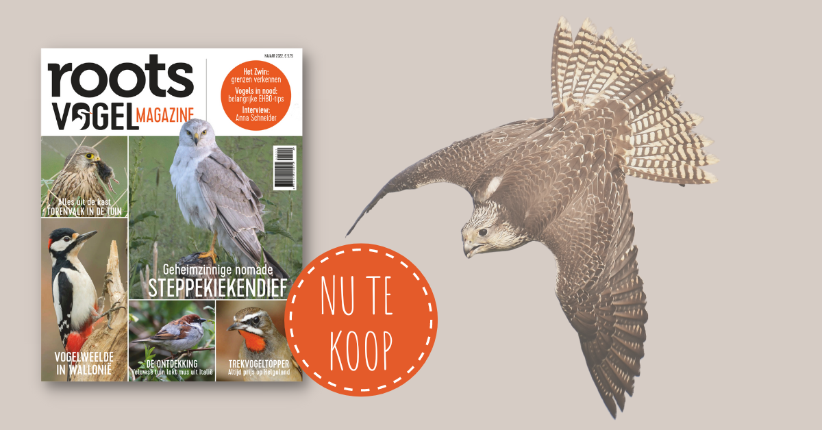 Vogelmagazine najaar 2022