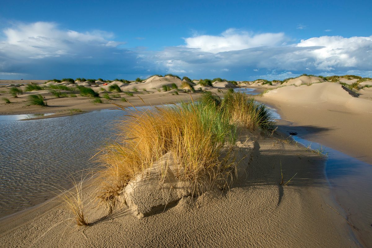 groene strand