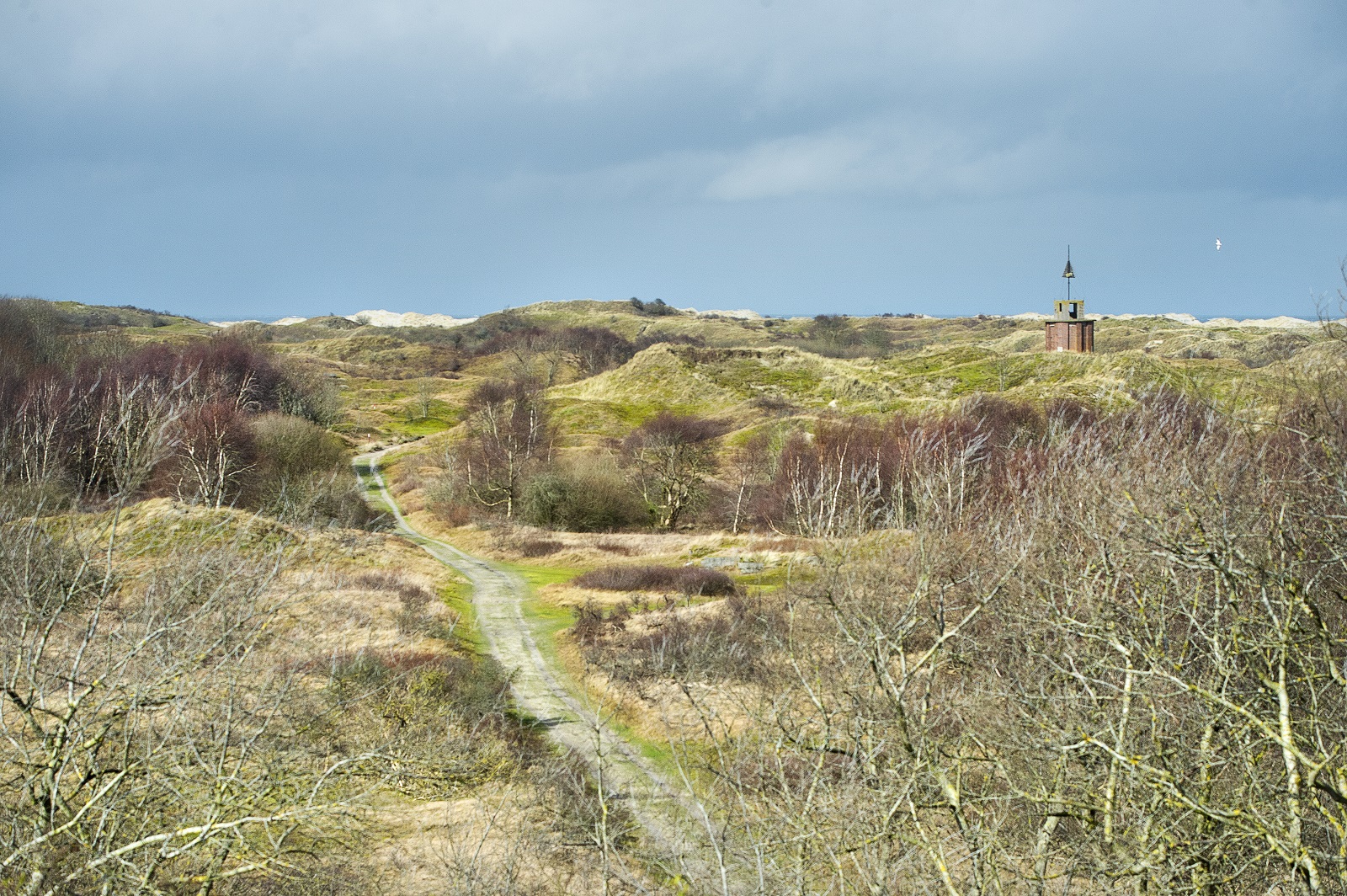 Duinlandschap Borkum