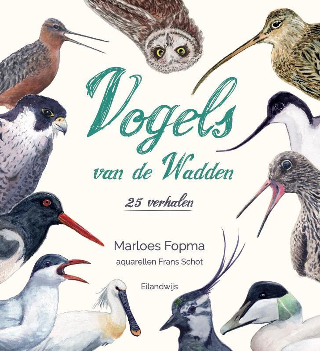 cover van Vogels van de wadden