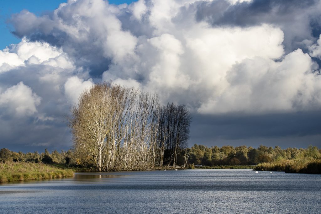 nationaal park de 
biesbosch