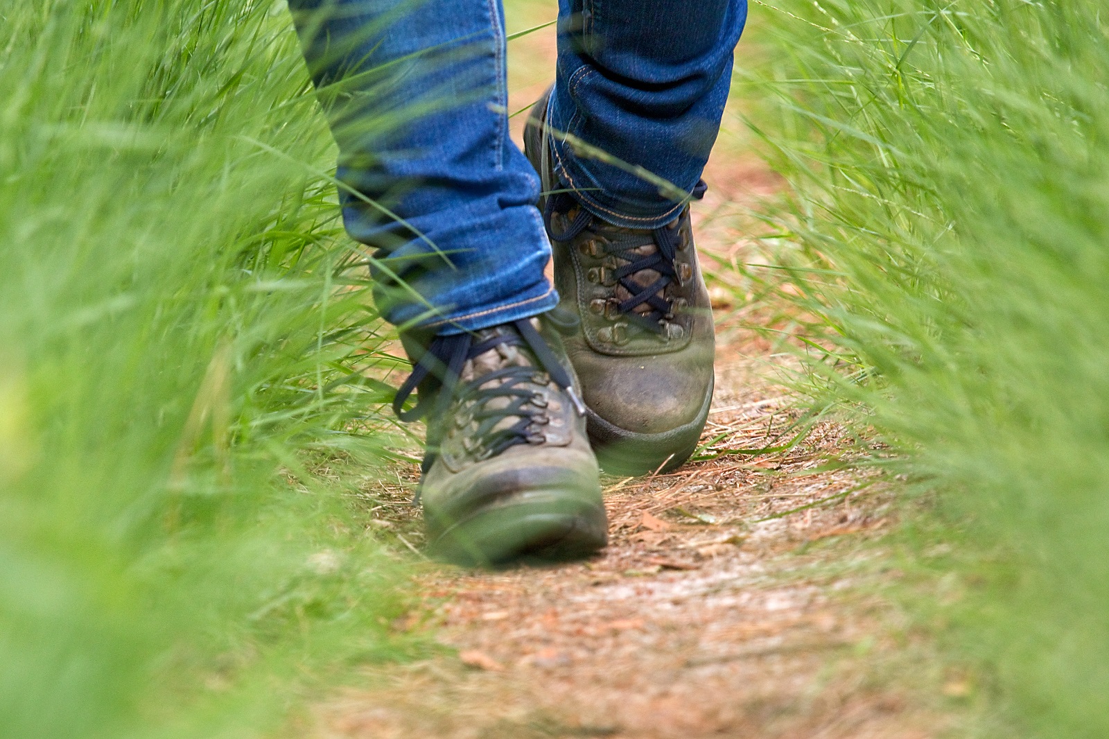 Mulders wandelschoenen sales
